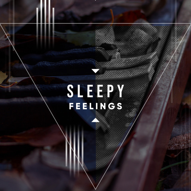 Sleepy Feelings cover art