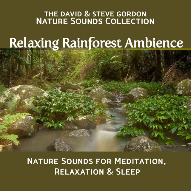 Relaxing Rainforest Ambience: Nature Sounds for Meditation, Relaxation and Sleep cover art