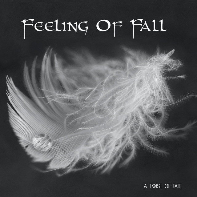 A Twist of Fate cover