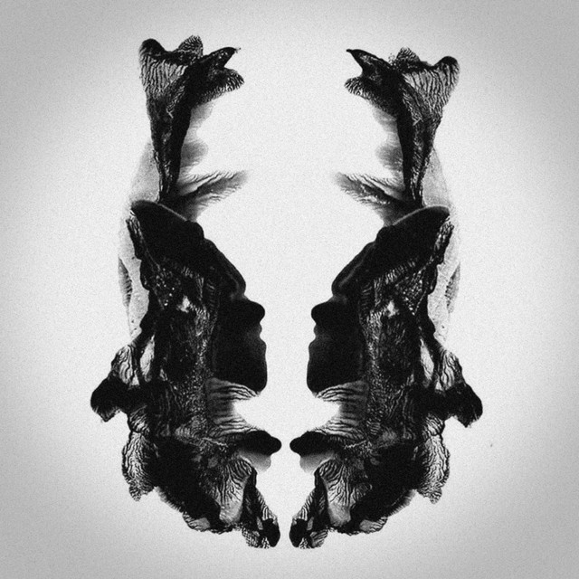 Inevitable Demise cover