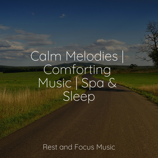 Calm Melodies | Comforting Music | Spa & Sleep - Album by Spa | Spotify