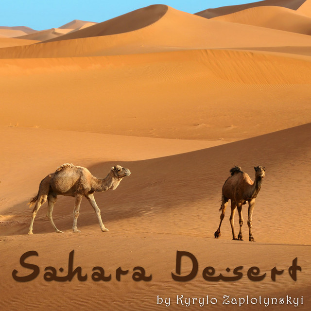 Обкладинка: Sahara Desert — Kyrylo Zaplotynskyi