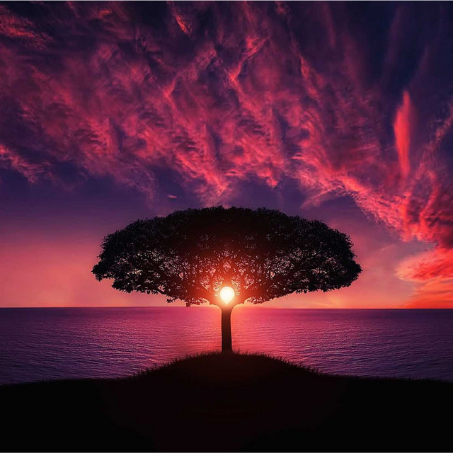 Just Breathe