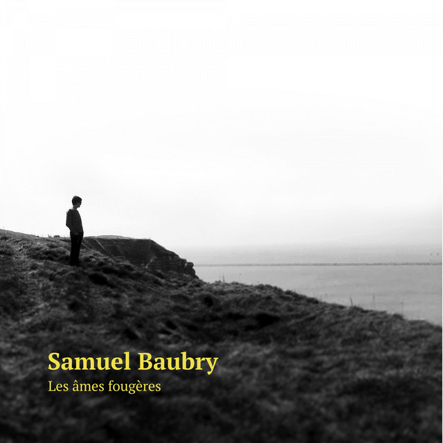 Les âmes fougères cover art