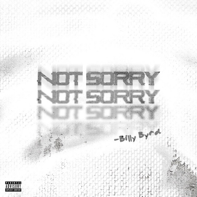 Not Sorry cover
