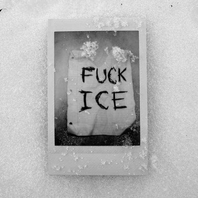Fuck Ice cover art