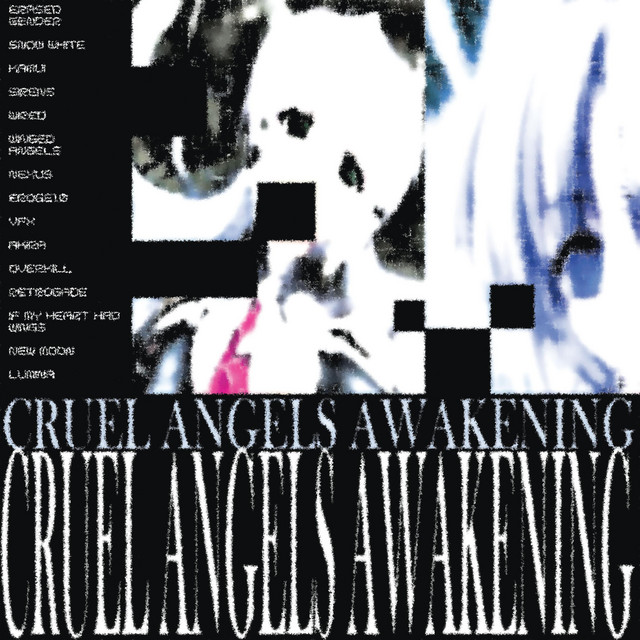 Cruel Angels Awakening: 13 WINGS EDITION cover art