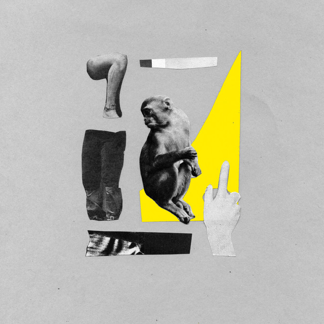 Monkey (Future Feelings Remix) cover