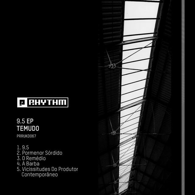 Обкладинка Temudo — 9.5 EP