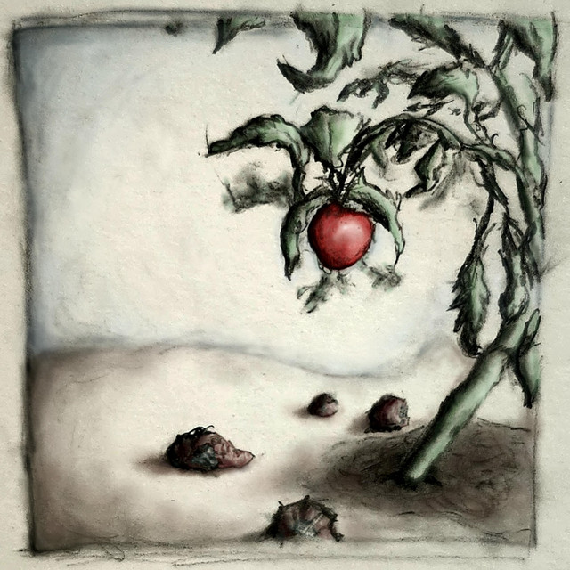 Slow Decay cover art