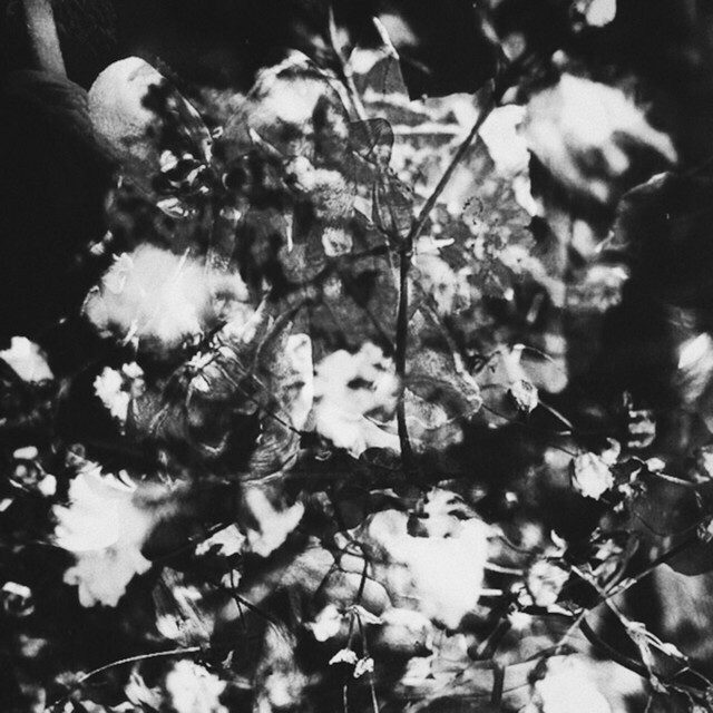 part cover art