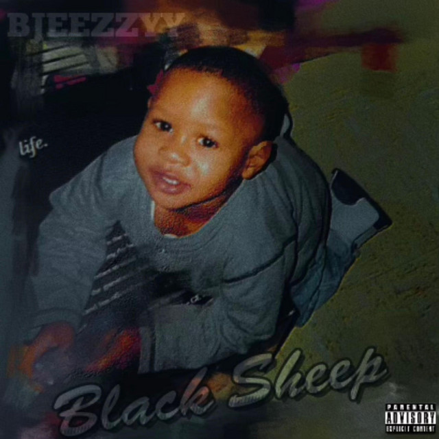 Black Sheep cover art