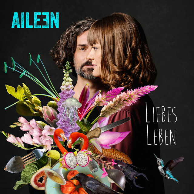 Liebes Leben cover art