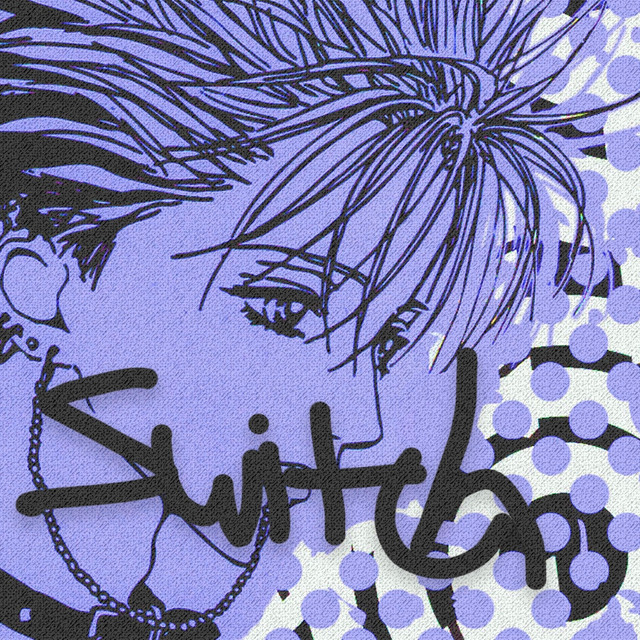Switch cover art