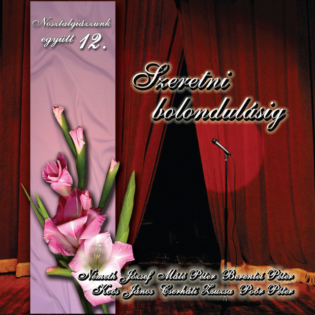Nosztalgiázzunk Együtt, Vol. 12 (Szeretni Bolondulásig) cover