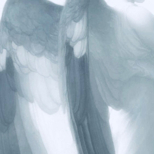 FeatherWings.