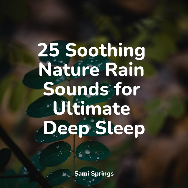 25 Soothing Nature Rain Sounds for Ultimate Deep Sleep - Album by ...