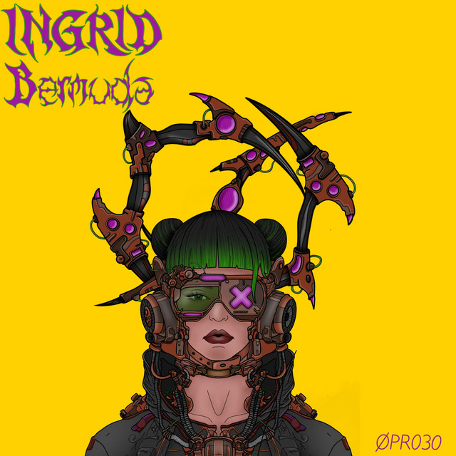 Bermuda cover art