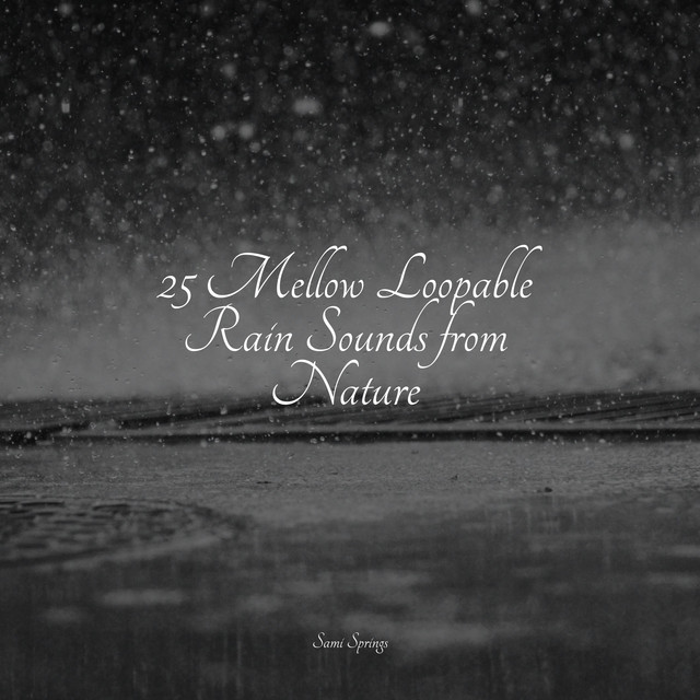 25 Mellow Loopable Rain Sounds from Nature - Album by Sounds of Nature ...