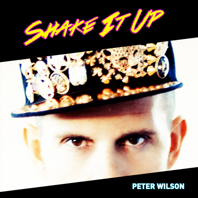 Shake It Up cover art