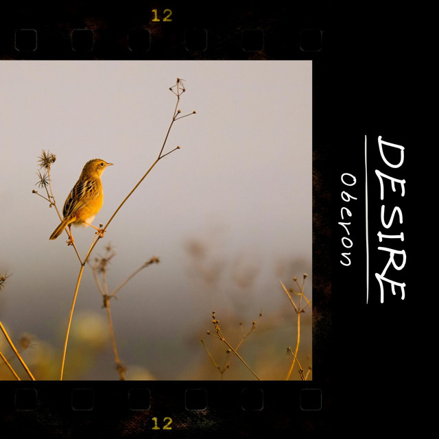 Desire (Radio Edit) - song and lyrics by Oberon | Spotify