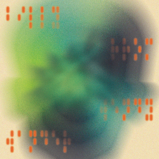 Night Bloom cover art