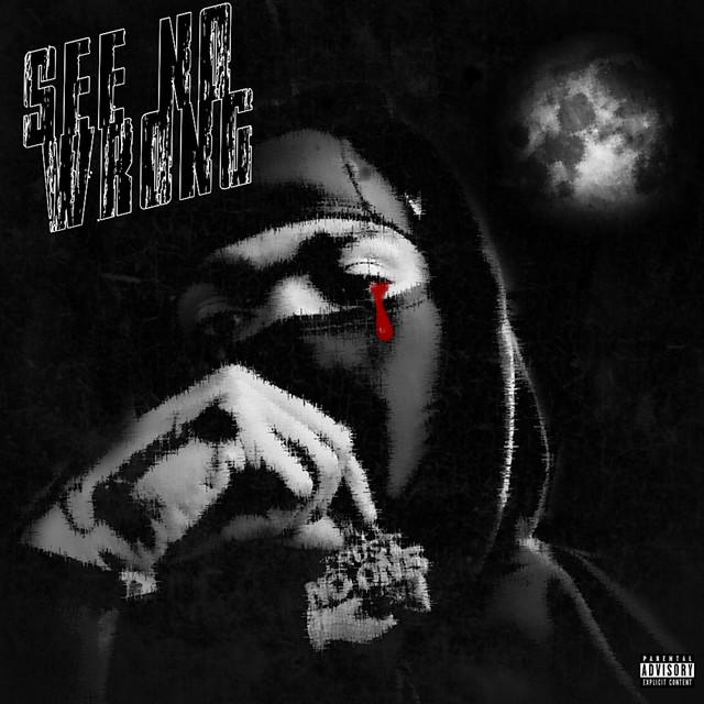 See No Wrong cover art