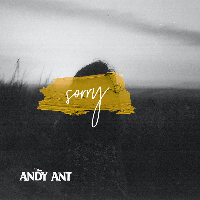 Обкладинка: Sorry — Andy Ant
