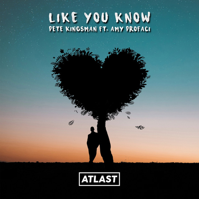 Like You Know cover