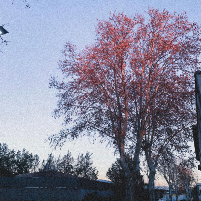 winter breeze