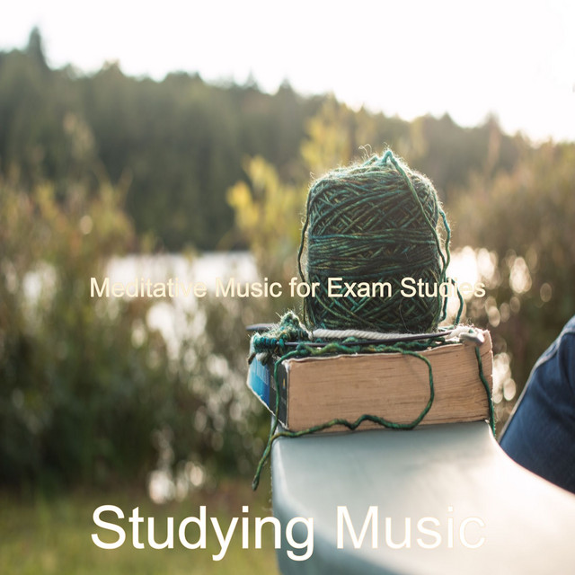 Meditative Music for Exam Studies - Album by Studying Music | Spotify
