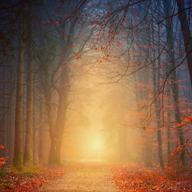 Breathtaking Yoga Sounds cover art