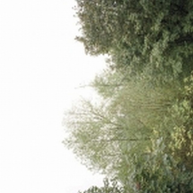 Growing cover art