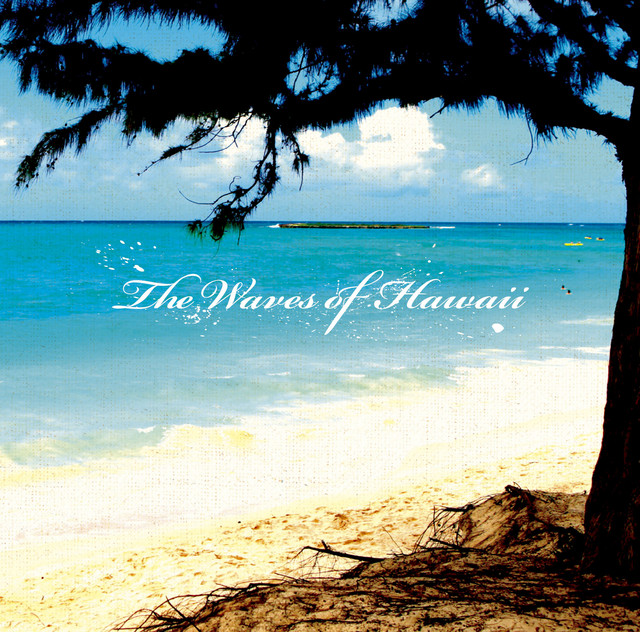 ★Hawaiian自然素材アルバム激レア★