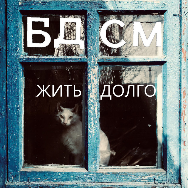 Обкладинка: Жить долго — БДСМ