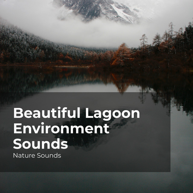 Beautiful Lagoon Environment Sounds - Album by Nature Sounds | Spotify