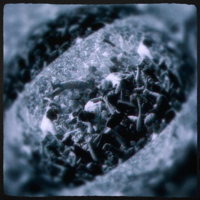 phase cover art