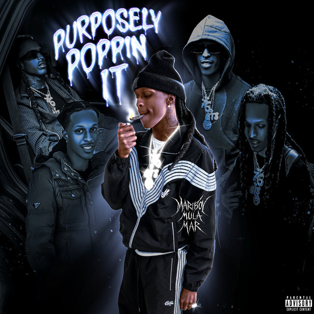 Purposely Poppin It cover art
