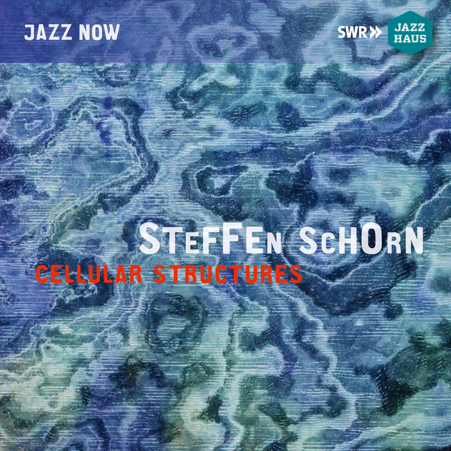 Cellular Structures (Live) — Steffen Schorn