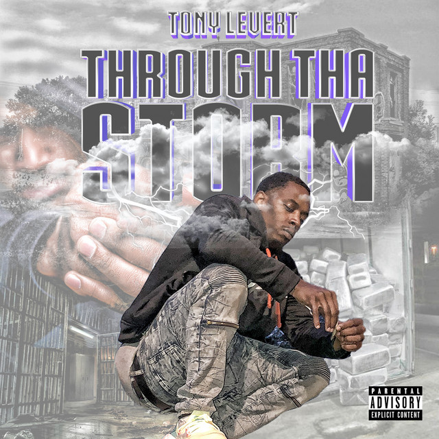Through tha Storm cover art