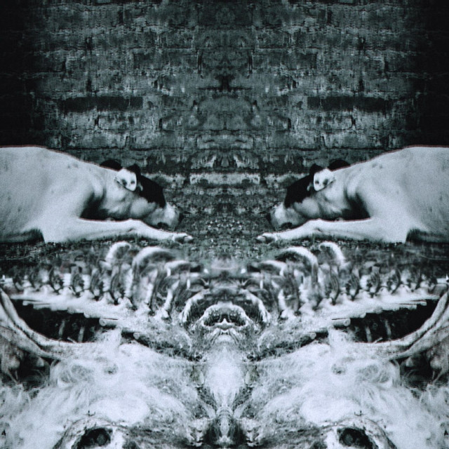 Después Del Alambrado cover art