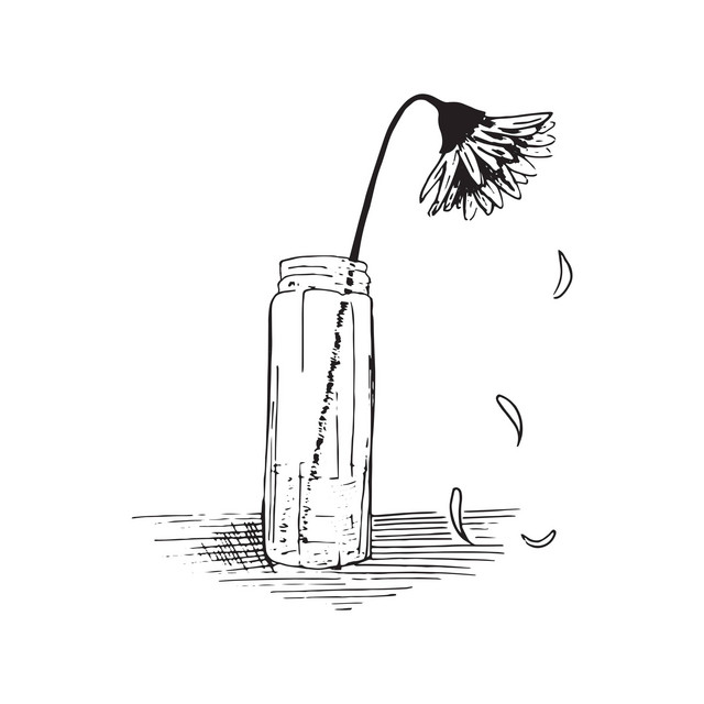 Wilt away cover art