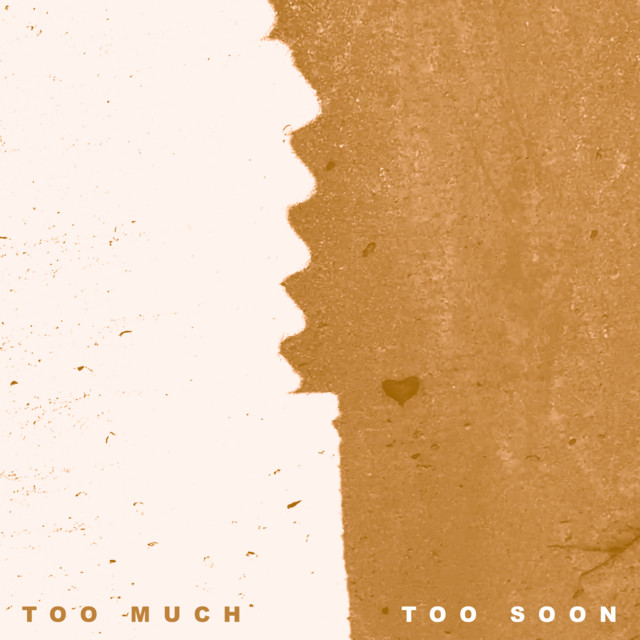 Too Much Too Soon cover