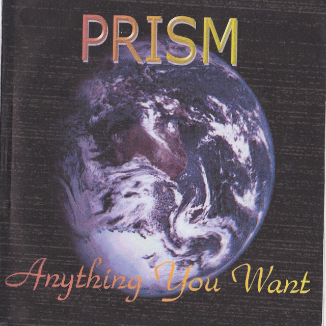 Anything You Want cover art