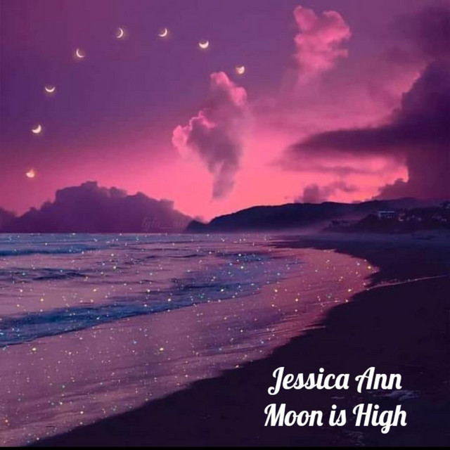 Cover art for Berool — Moon is High
