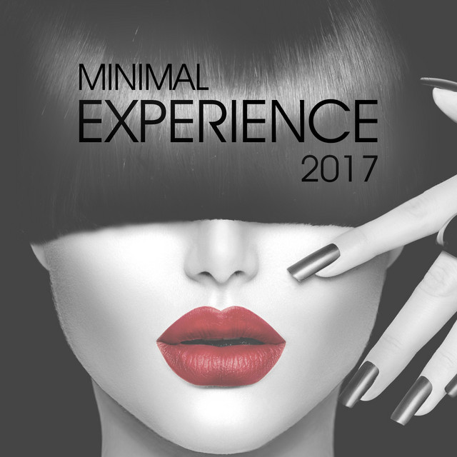 Minimal Experience 2017 cover
