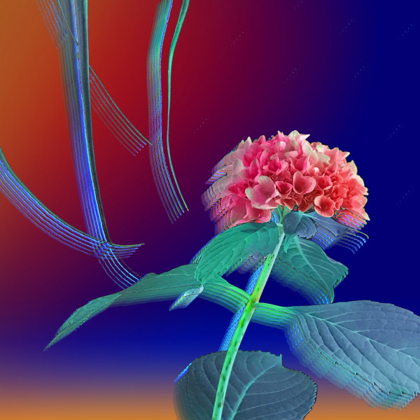 Dusking cover art