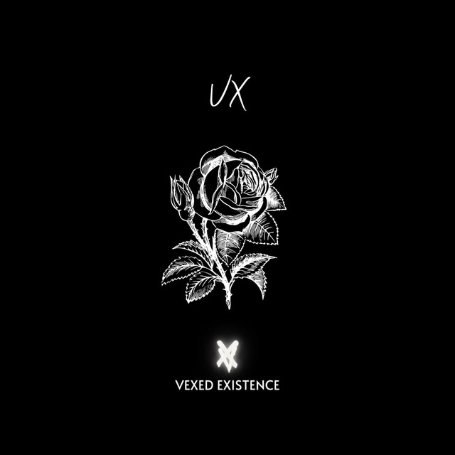VX cover art