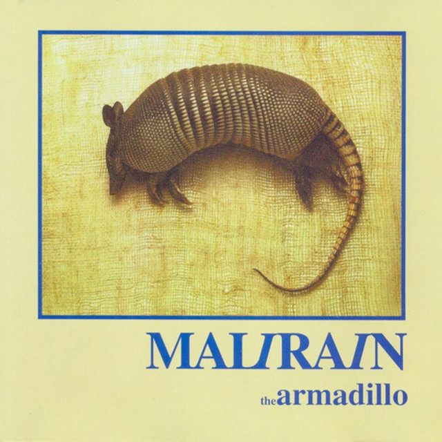 The Armadillo cover art