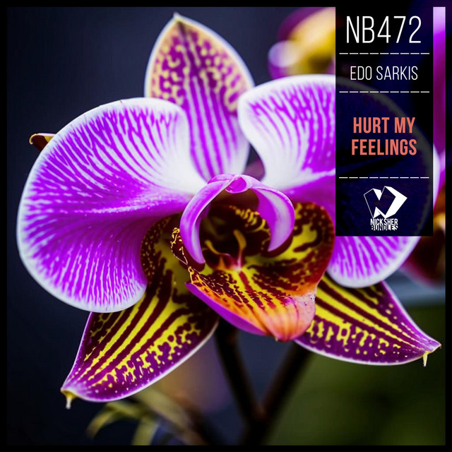 Hurt My Feelings cover art